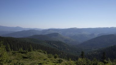 Dağın güzel manzarası. Karpat Dağları, Ukrayna