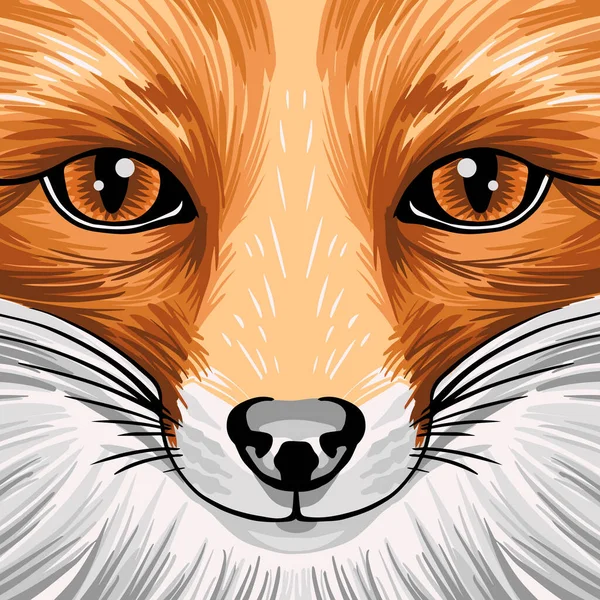 Real Portrait Red Fox Woodland Forest Animal Design Can Used Stock Illustration