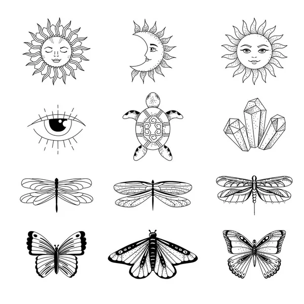 Boho Vector Collection Magic Line Art Dragonfly Butterfly Moon Sun Vector de stoc