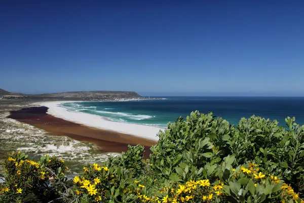 Вид Пляж Нордхук Чапманс Пик Драйв Кейп Пени Недалеко Кейптауна — стоковое фото