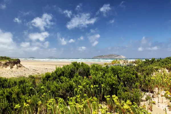 stock image Coastal landscape in the Wilsons Promontory National Park, Victoria, Australia, with Shellback Island in the background.