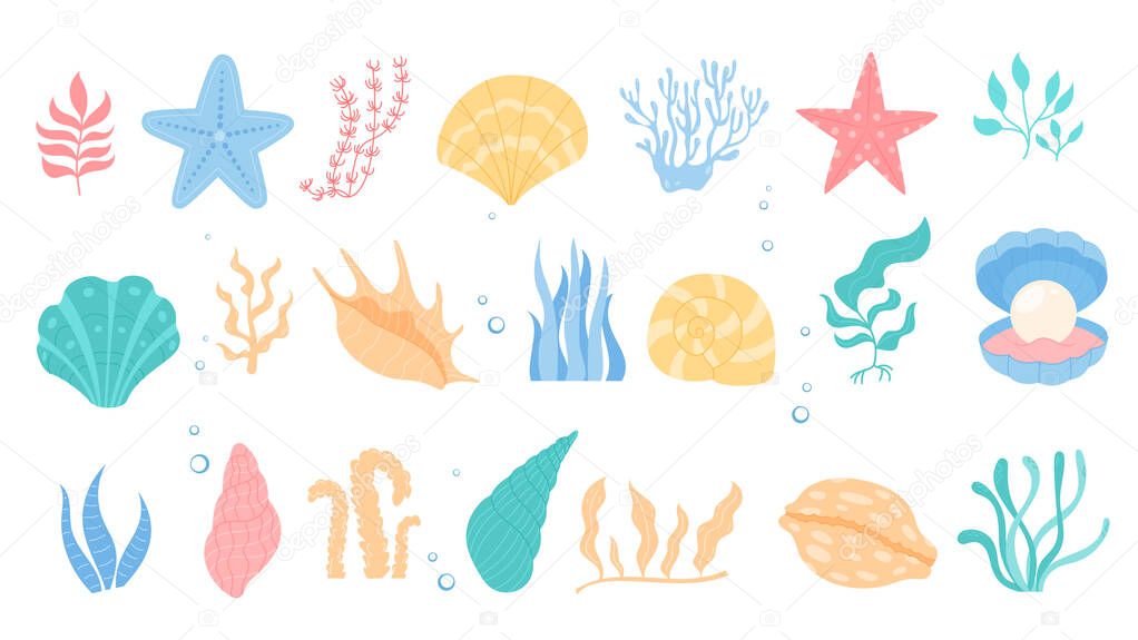 Cartoon diverse ocean set including seashells, aquatic plants, starfish, and corals. Colorful marine life underwater elements, kelp, seagrass on white. Cute and isolated illustrations.