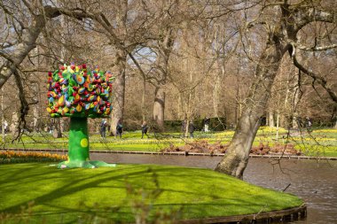 Lisse Holland 'daki Keukenhof bahçesindeki çiçek tarlalarının manzarası Hollanda