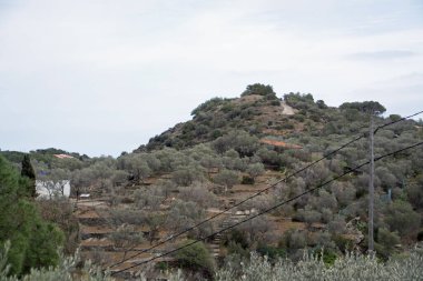 Katalonya 'da yaz aylarında çalılarla kaplı bir dağ manzarası