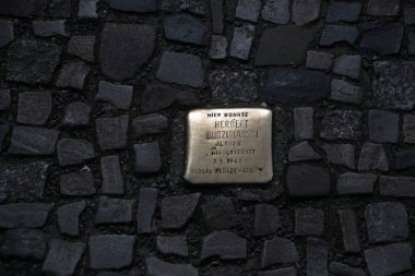 Stolperstein 'in manzarası Mitte Berlin Almanya' sında Grosse Hamburger Caddesi 'nde tökezleyen taş