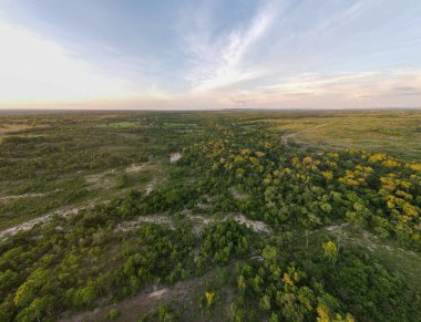 Yazın Mato Grosso Brezilya 'da kırsal alanda gün batımı manzarası