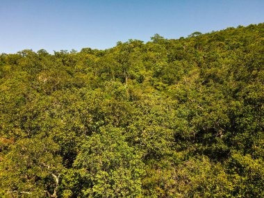 Nobres 'te yaz boyunca Chapada tepesindeki orman manzarası Bom Jardim Mato Grosso Brezilya