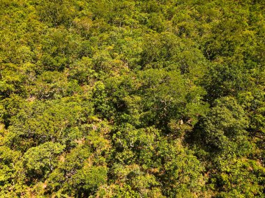 Nobres 'te yaz boyunca Chapada tepesindeki orman manzarası Bom Jardim Mato Grosso Brezilya