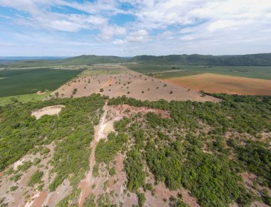 Yaz boyunca Bom Jardim 'de Mato Grosso Brezilya' nın Nobres kırsalında tarım arazisi