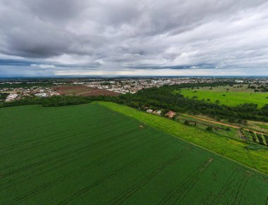 Aerial Landscape of field during summer in city of Tangara da Serra in Mato Grosso Brasil clipart