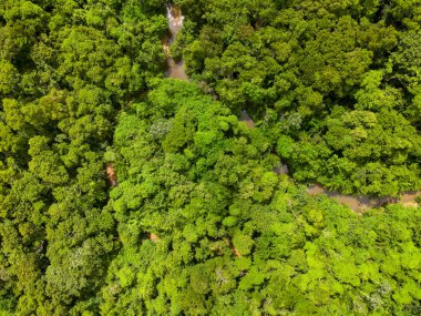 Cuiaba Mato Grosso Brezilya 'daki Mae Bonafacia parkındaki orman ve nehrin yukarısı.