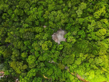Cuiaba Mato Grosso Brezilya 'daki Mae Bonafacia parkındaki orman ve nehrin yukarısı.