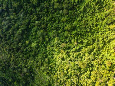 Yazın Mato Grosso Brezilya 'da Chapada dos Guimaraes Ulusal Parkı' nın havadan manzarası