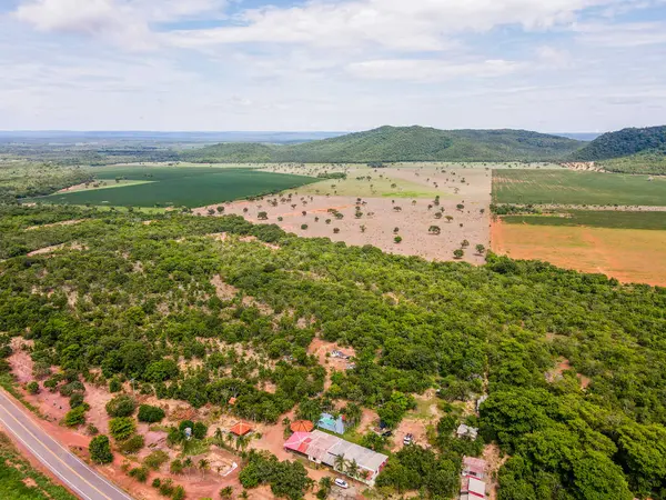 Yaz boyunca Bom Jardim 'de Mato Grosso Brezilya' nın Nobres kırsalında tarım arazisi