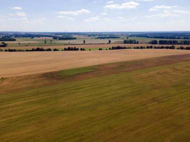 Thyrow Brandenburg Almanya 'sında yaz mevsiminde tarım alanının havadan görünüşü