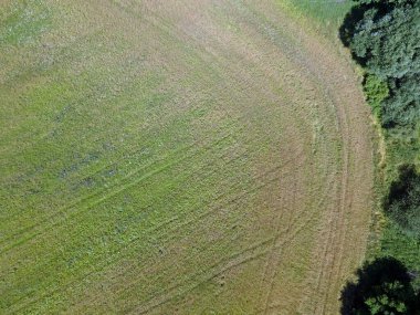 Thyrow Brandenburg Almanya 'sında yaz mevsiminde yaban çiçeği tarlasının havadan aşağısında.