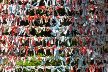 Omikuji, small strips of paper with fortunes or prayers written on them at Enoshima shrine, Enoshima island, Fujisawa, Kanagawa prefecture, Japan.