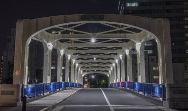 Night view of Toyomibashi bridge over the Sumida River, Tokyo.