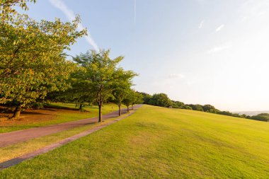 Batan güneşle aydınlanan Parkland, Daijouji Hill Park, Kanazawa, Japonya.