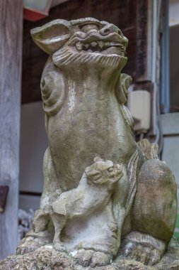 Komainu, or lion-dog with cub, statue at Asanogawa inari jinja, Kanazawa, Japan.