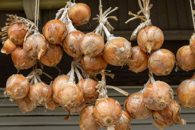 Onions drying in summer sun, Kanazawa, Japan.