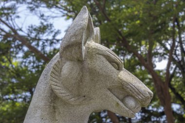 Stone fox, known in Japanese as 