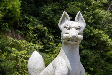 Stone fox, known in Japanese as 