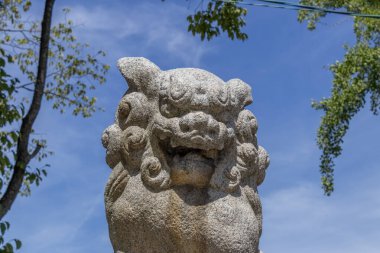 Komainu, or lion-dog, statue at shinto shrine, Japan.
