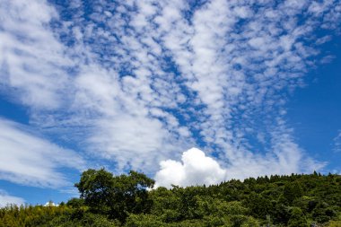 Mavi gökyüzü ve beyaz bulut altındaki Parkland, Kanazawa, Japonya.