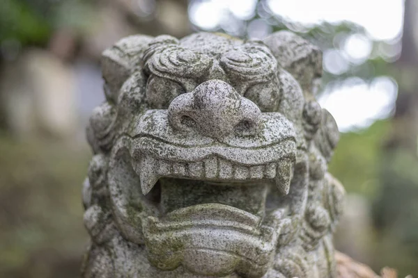 Komainu Cane Leone Statua Asanogawa Inari Jinja Kanazawa Giappone — Foto Stock