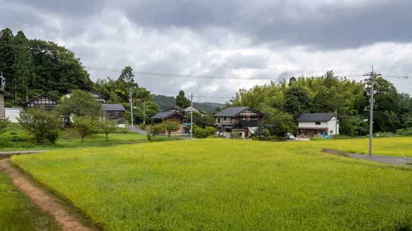 Letní Pohled Krajinu Rýžového Pole Kanazawa Japonsko — Stock fotografie