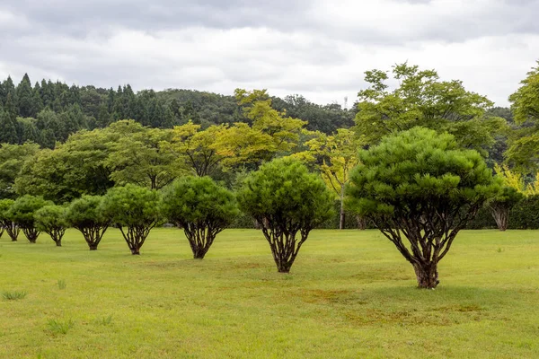 Uchikawa Mezarlığı, Oharamachi, Kanazawa, Ishikawa Bölgesi, Japonya