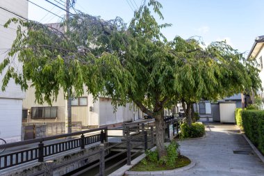 Kanazawa, Ishikawa, Japonya 'daki Nomachi yerleşim bölgesi..