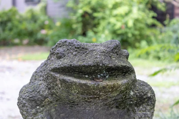 口に50円玉のついた石カエル — ストック写真