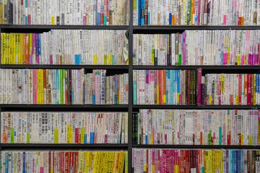 Japonya, Kanazawa 'daki büyük bir ikinci el kitap dükkanındaki kitap raflarının manzarası..