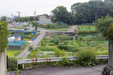 Japonya, Kanazawa 'nın dışındaki tepelerdeki Yamashina köyündeki tarım arazisi..