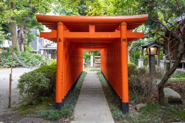 Kanazawa, Ishikawa, Japonya 'daki Kasuga jinja shinto türbesinin kırmızı torii kapıları. Bağış yapıldı..