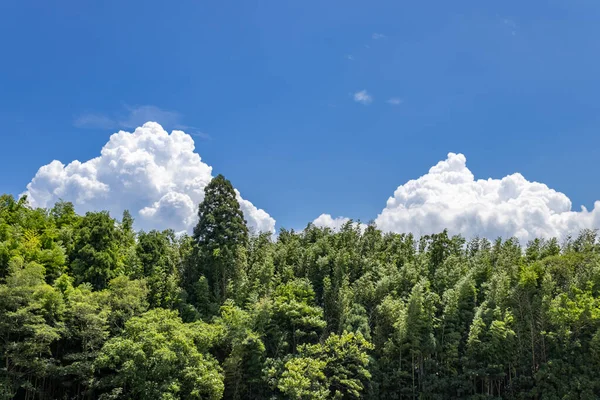 Verano Cumulonimbus Nubes Nyuudougumo Sobre Bosque Kanazawa Japón — Foto de Stock