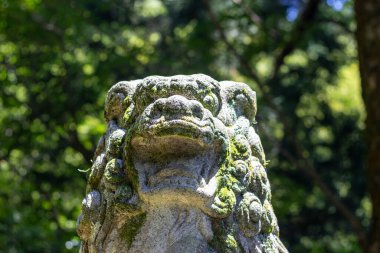 Japonya 'nın Osugisukunahikona Tapınağı' ndaki Komanu ya da aslan-köpek (halk sanatı). Komanu shinto türbelerinin koruyucularıdır ve bazen tapınaklar, genellikle çiftler halinde, biri açık ağızlı, biri de kapalı ağızlıdır..