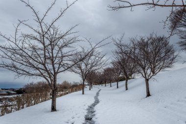 Karlı kış manzaralı Daijouji Tepesi Parkı, Kanazawa, Japonya
