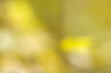 Sarı ve yeşil renklerle soyut bulanık arkaplan Yumuşak ve huzurlu