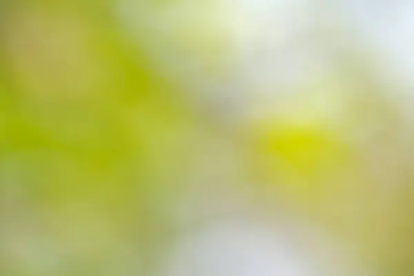 Pastel yeşilliklerin ve beyazların bulanık arkaplanı huzurlu ve huzurlu bir havayı çağrıştırıyor.