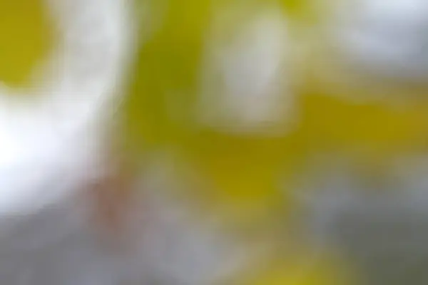 Sessiz yeşilliklerin ve beyazların soyut bulanıklığı yumuşak bir rüya etkisi yaratıyor.