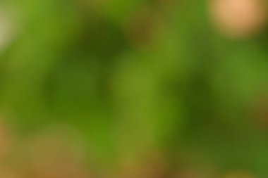 Soyut yeşil ve kahverengi bulanık arkaplan doğa temalı tasarımlar için mükemmel