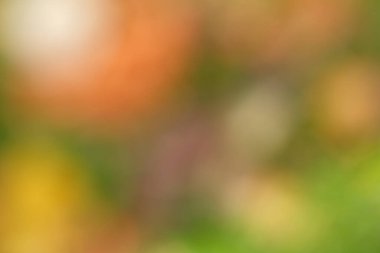 Sıcak ve serin tonların bulanık arkaplanı