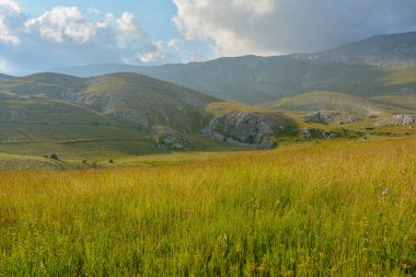 Parçalı bulutlu bir gökyüzünün altında, manzaralı bir manzaranın içinde yuvarlanan tepelere ve dağlara karşı otlak bir çayıra kurulmuş.