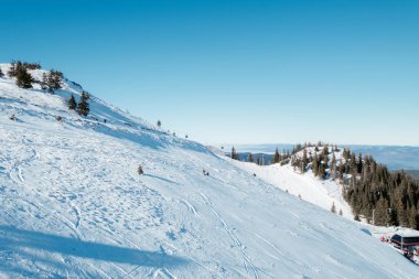 Karlı dağ manzarası aydınlık bir günde yamaçlara dağılmış ağaçlar ve açık mavi gökyüzü