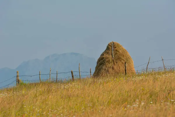 Kırsal cazibe: Altın bir saman yığını uzak dağ manzaralı otlak bir yamacı süslüyor