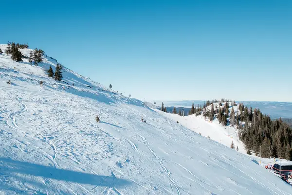 Karlı dağ manzarası aydınlık bir günde yamaçlara dağılmış ağaçlar ve açık mavi gökyüzü