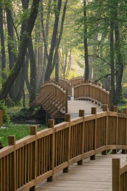 Orman manzarasıyla çevrili ahşap bir patika köprü. Huzurlu doğal güzellikler sergiliyor. Güneş ışığı ağaçların arasından süzülüp, barışçıl bir atmosfer yaratır..